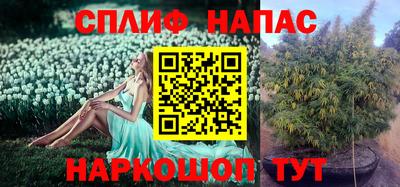 стафф Сланцы