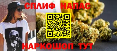 дживик Ставрополь