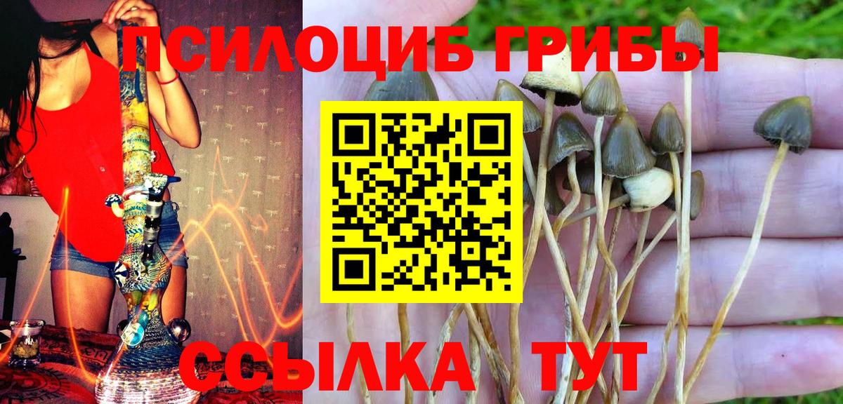 Галлюциногенные грибы прущие грибы Полевской