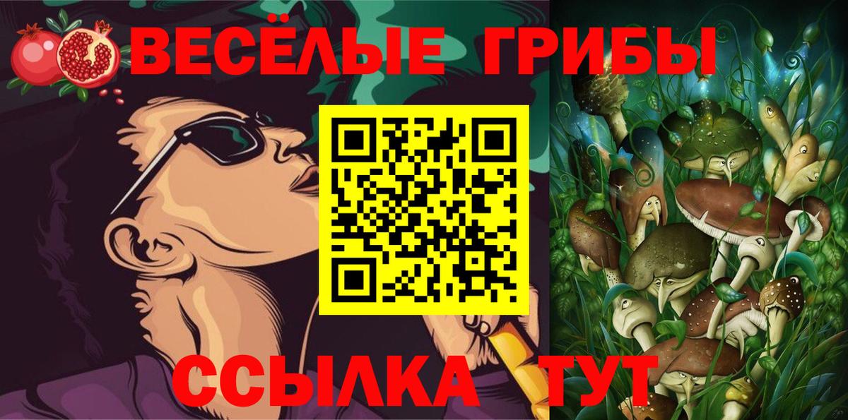 Полевской  Псилоцибиновые грибы MAGIC MUSHROOMS  Вход с VPN 